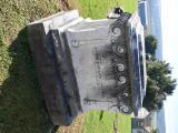 image of grave number 785578